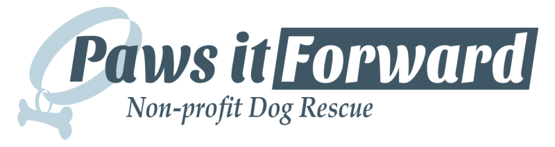 This image is by Splash BC.